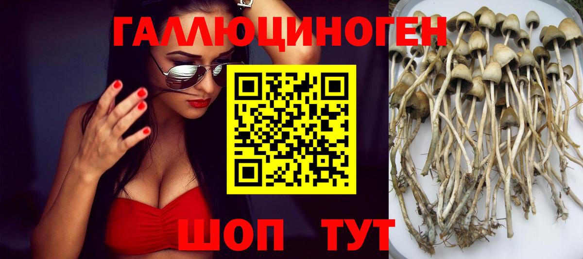 Балтийск  дарнет шоп  Вход с VPN  Галлюциногенные грибы MAGIC MUSHROOMS 
